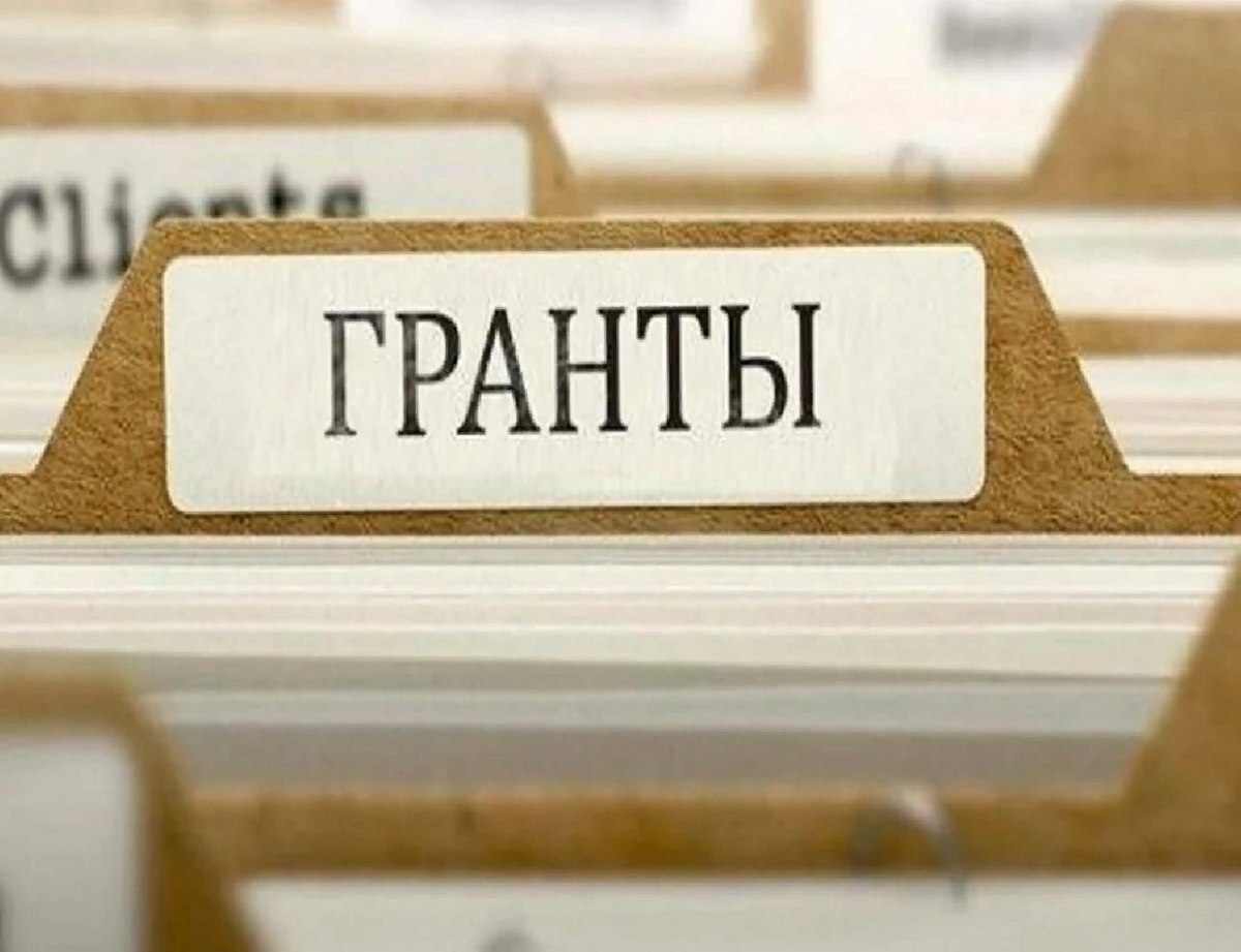 НКО Камчатки получат 30 миллионов рублей на свои проекты